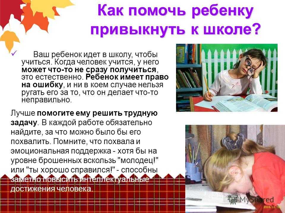 Как помочь ребёнку стать успешным в учёбе / skillbox media