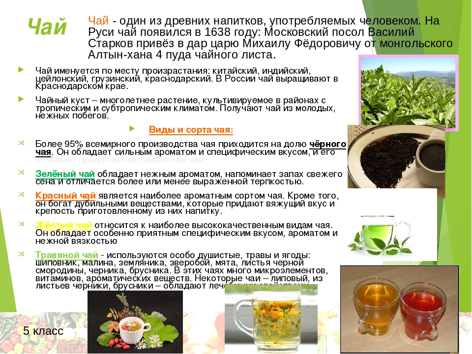 В каком возрасте начинать давать чай ребенку