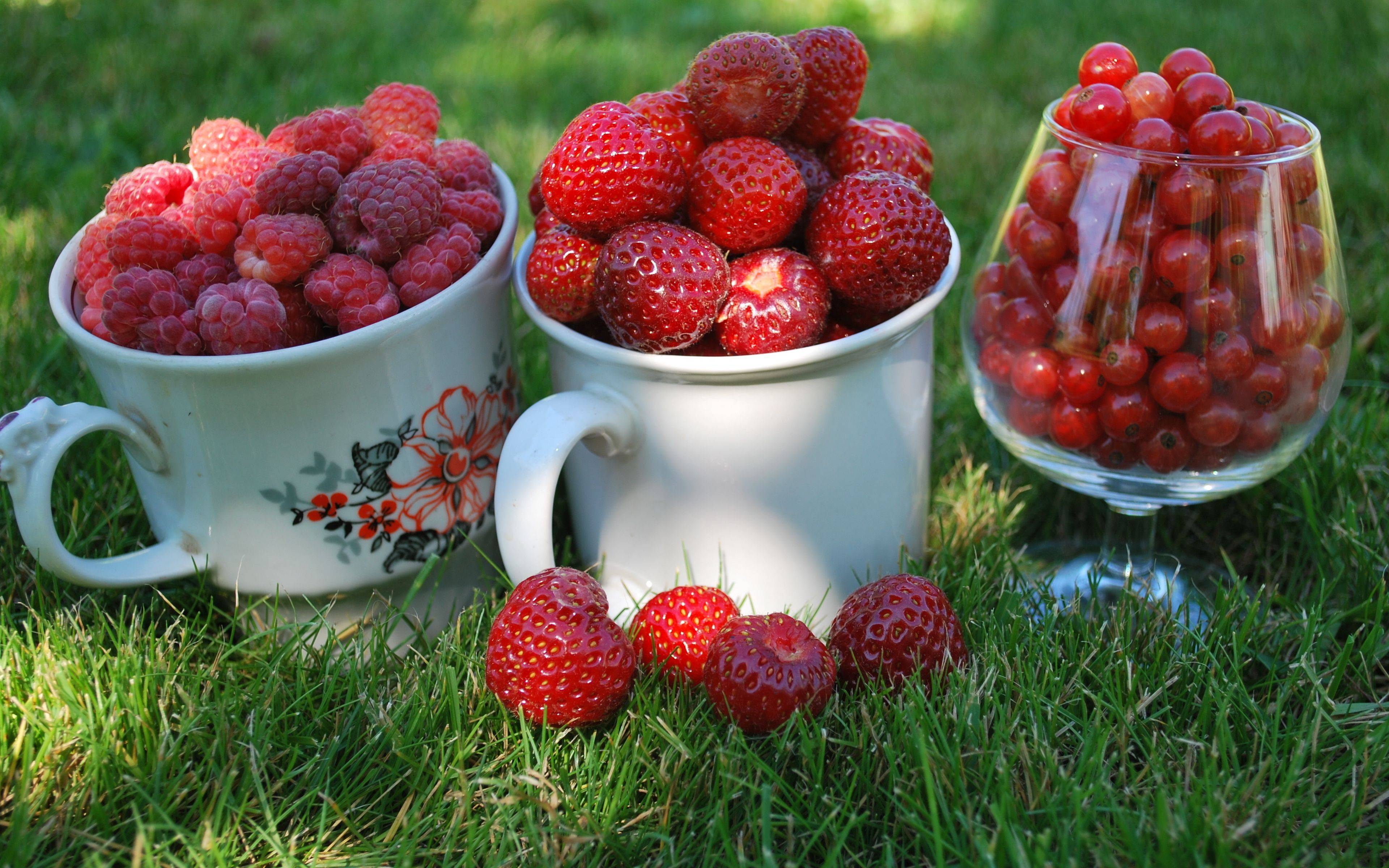 Какие ягоды и сколько можно ребенку. с какого возраста можно ягоды детям. ягоды польза и вред.