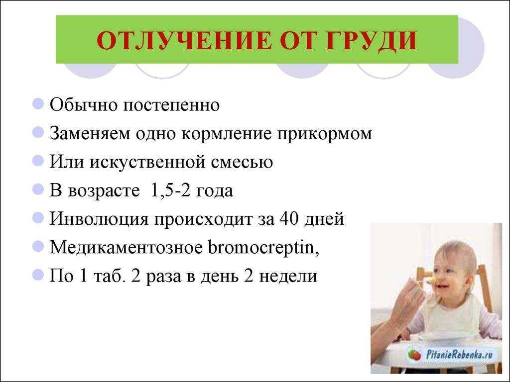 Как отучить ребенка от грудного вскармливания? – жили-были