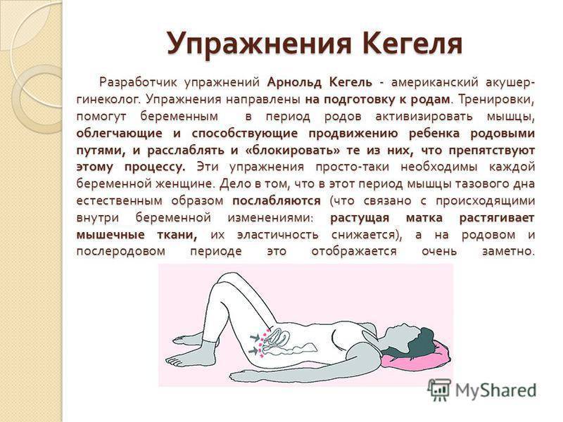 Акушерство и гинекология - упражнения для мышц тазового дна