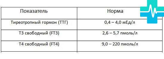 Почему важен уровень гормона ттг: норма, повышен или понижен - статьи lab4u.ru