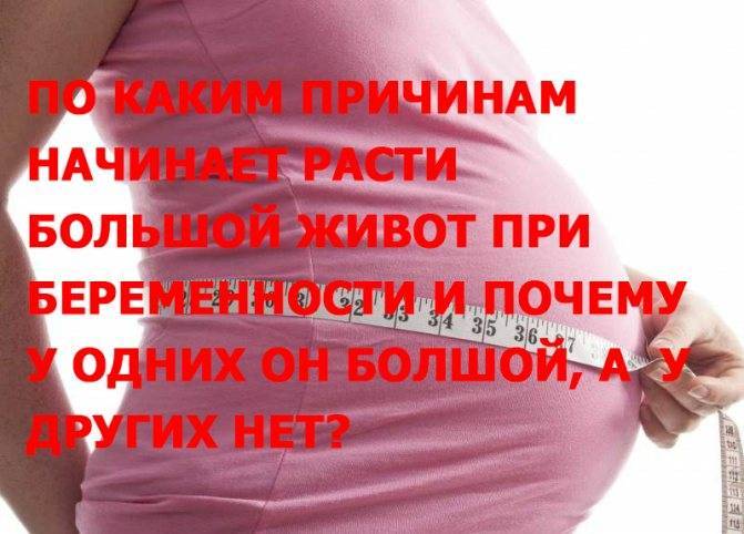 Грудь при беременности: когда начинает расти, особенности изменений ощущений и внешнего вида на ранних сроках, во 2 и 3 триместрах