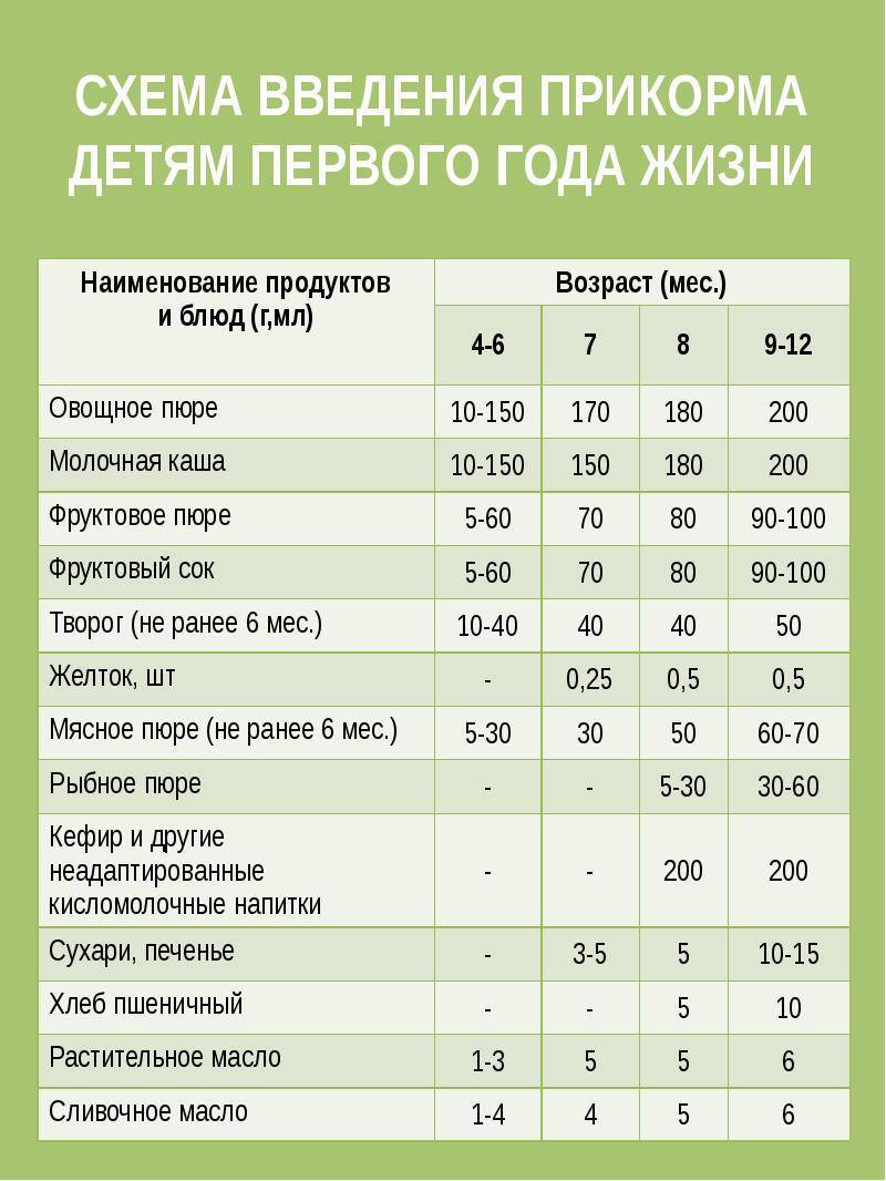 Схема первого прикорма по комаровскому при грудном вскармливании: правила введения и подробные таблицы по месяцам