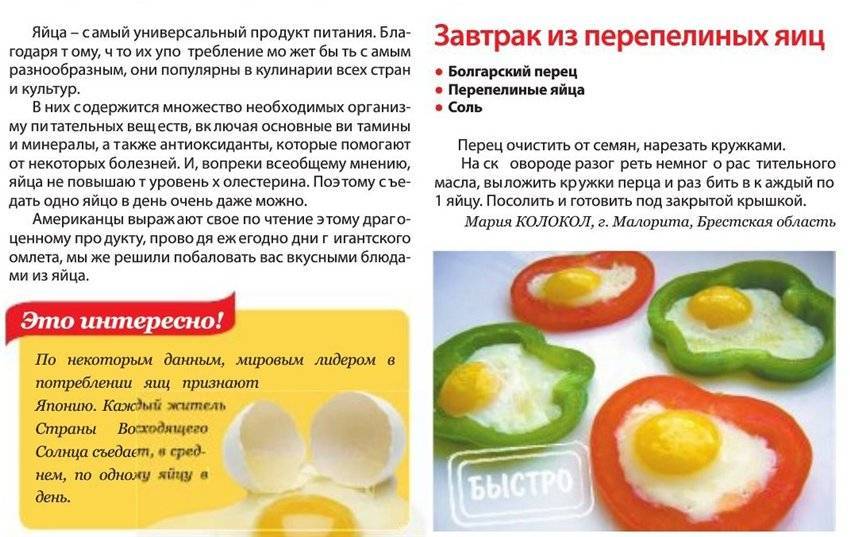 Какие яйца лучше есть при грудном вскармливании: куриные или перепелиные?