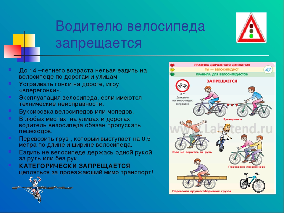 По какой стороне должен ехать велосипедист - основные правила пдд для велосипедистов