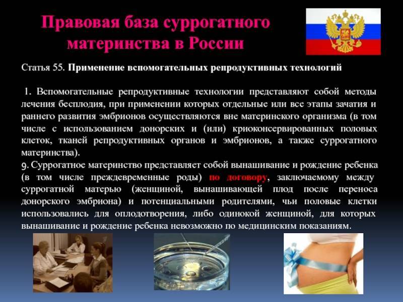 Программа суррогатного материнства в россии – требования к суррогатной матери