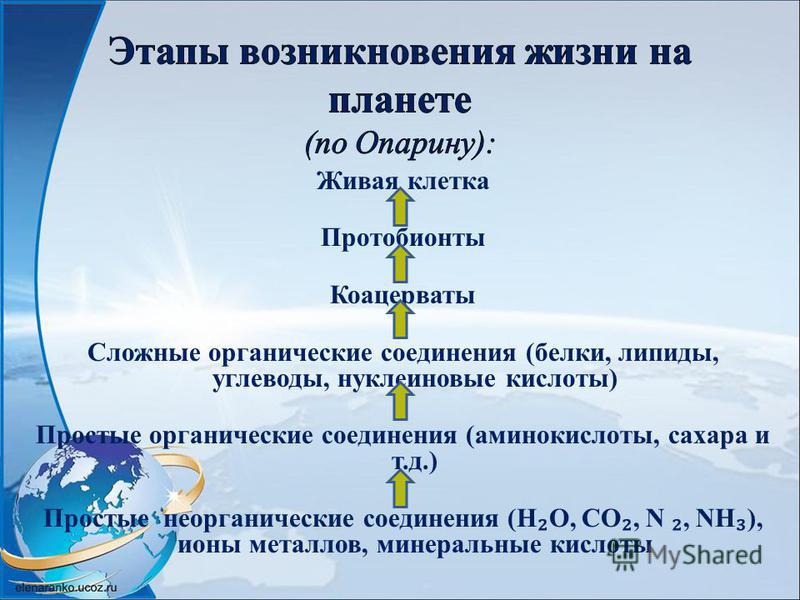 Зарождение жизни на земле: как и откуда, последовательность процессов