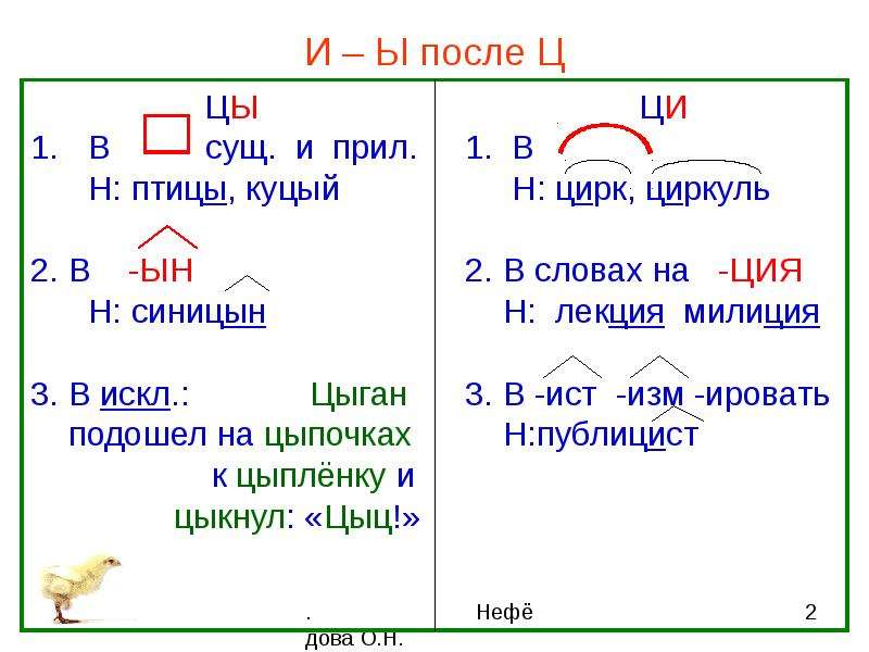 Урок в 5 классе по теме "буквы и – ы после ц"