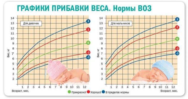 Здоровье ребенка от 6 месяцев до 1 года