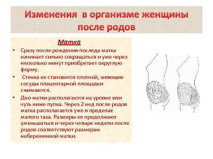 Как сохранить женское здоровье после родов?