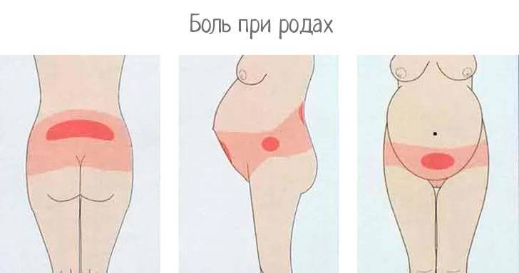 Болят кости между ног при беременности, 37-38 неделя беременности болит промеж ног - детская клиническая больница г. улан-удэ
