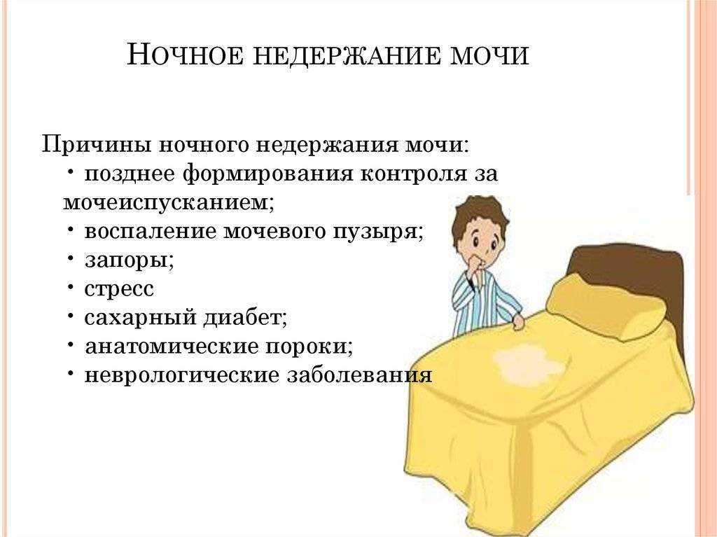 Энурез у детей: причины возникновения недержания мочи у ребенка