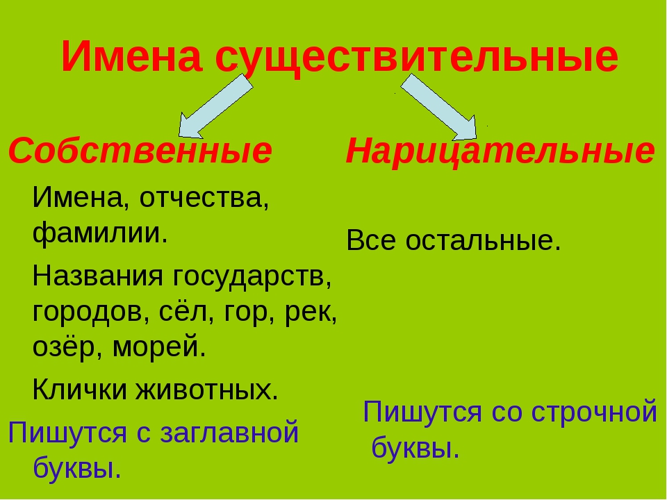 Как определить собственное и нарицательное существительное. разница между именем собственным и именем нарицательным