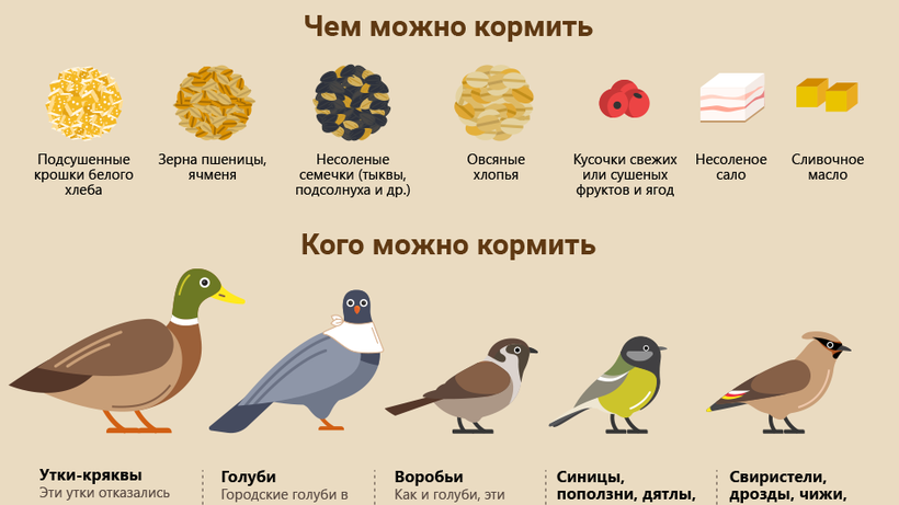Как увеличить рост ребенка | бебиклад