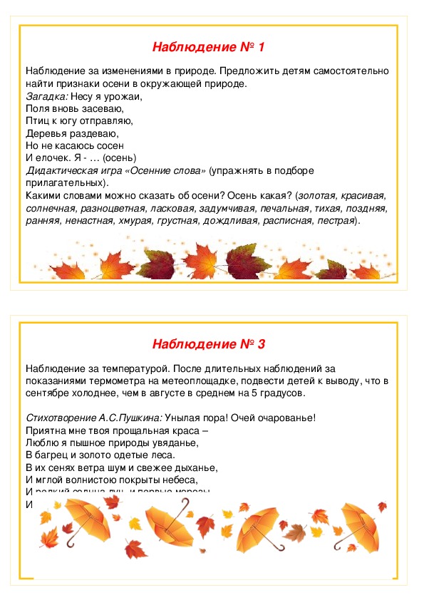 Конспект осенней прогулки в старшей группе детского сада