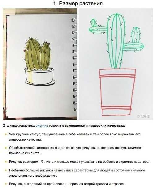 Методика кактус - психолог онлайнпсихолог онлайн