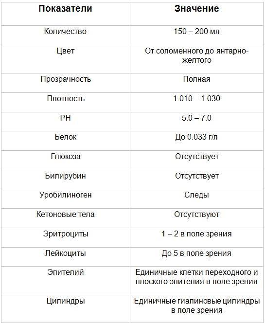 Синехии