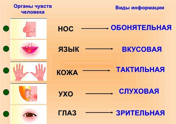 65. человек и его здоровье
 читать 0 мин.