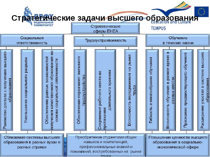 Задачи высшей школы в современных условиях