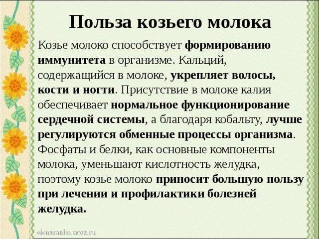 Польза и вред козьего молока для организма взрослых и детей