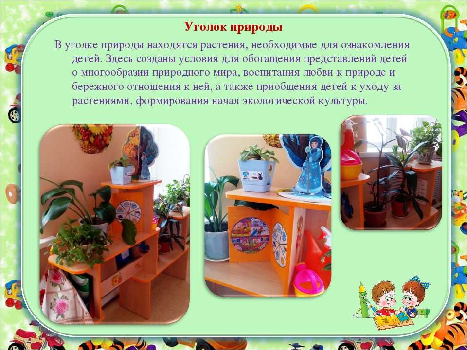 Уголок экологии в 1 младшей группе. что должно быть в уголке природы по группам. цели и задачи организации уголка природы