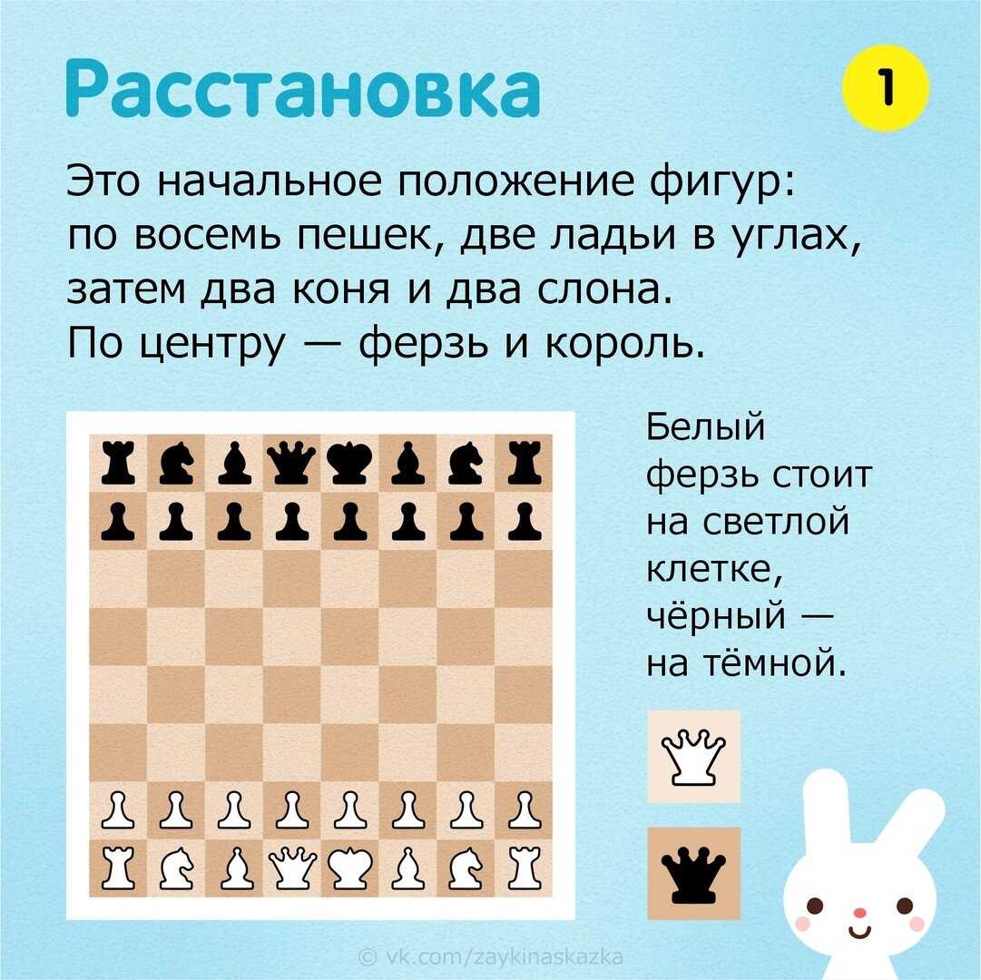 Как научить ребенка играть в шахматы в домашних условиях