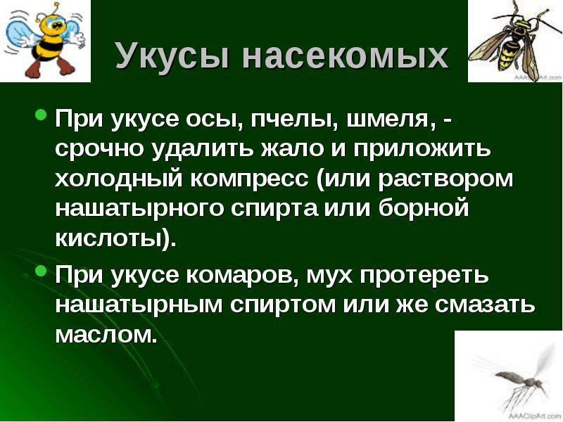 Поведение насекомых презентация