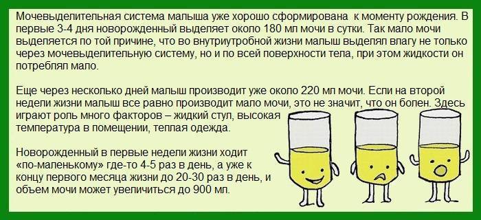 Суточный анализ мочи