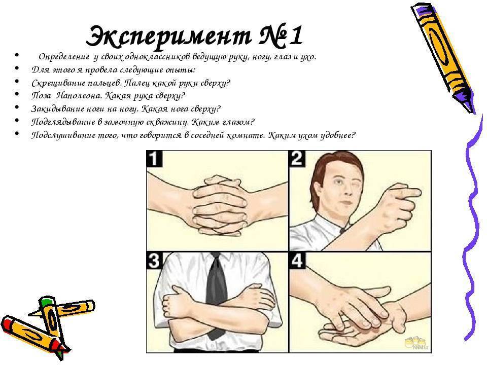 Как определить, левша или правша ребенок: тест на леворукость и праворукость