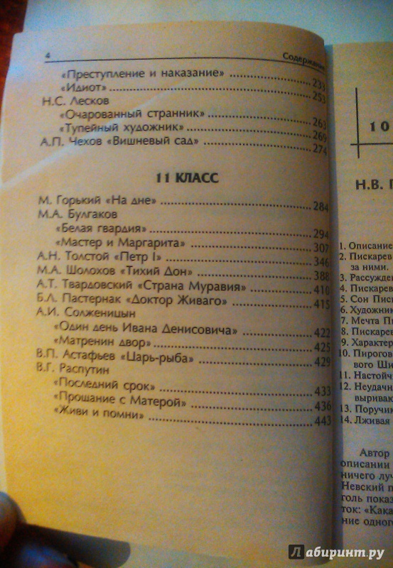 Список литературы для чтения на лето. 11 класс   | материнство - беременность, роды, питание, воспитание