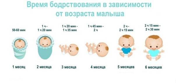 Как и сколько нужно гулять с новорожденным зимой, весной, летом и осенью? правила прогулок с новорожденным