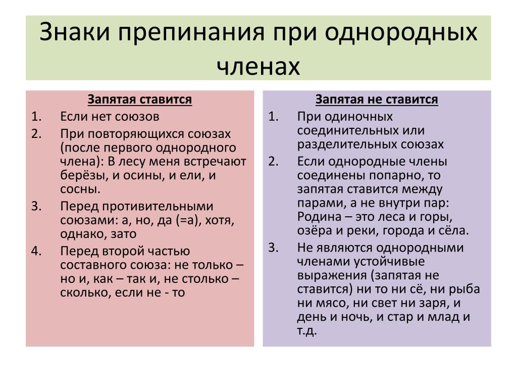 Однородные члены предложения – что это такое понятным языком и что про них надо знать