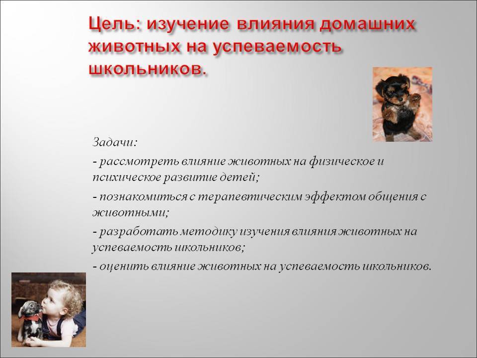6 преимуществ детей, растущих с домашними животными
