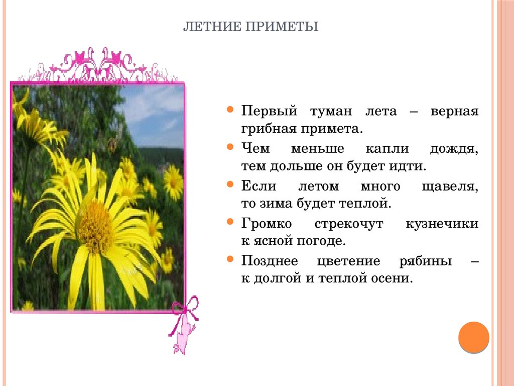 Народные приметы о погоде: по каким приметам можно определить, какая будет погода летом
