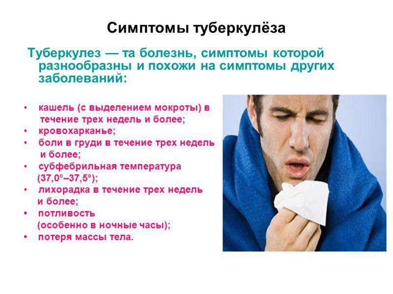 Пневмония: симптомы и лечение воспаления лёгких у взрослых и детей, профилактика заболевания