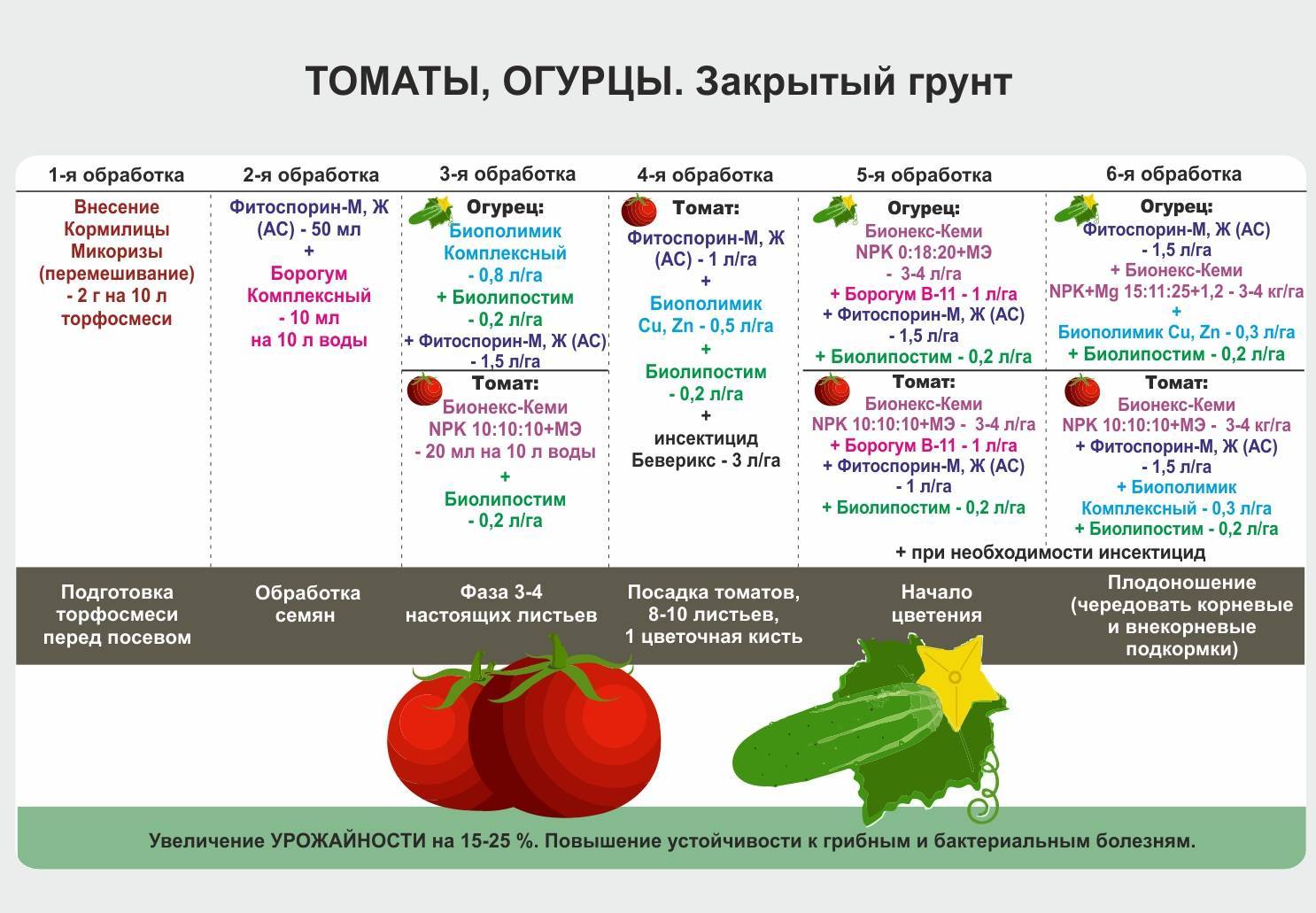 С какого возраста ребенку можно помидоры и в чем польза этих овощей?