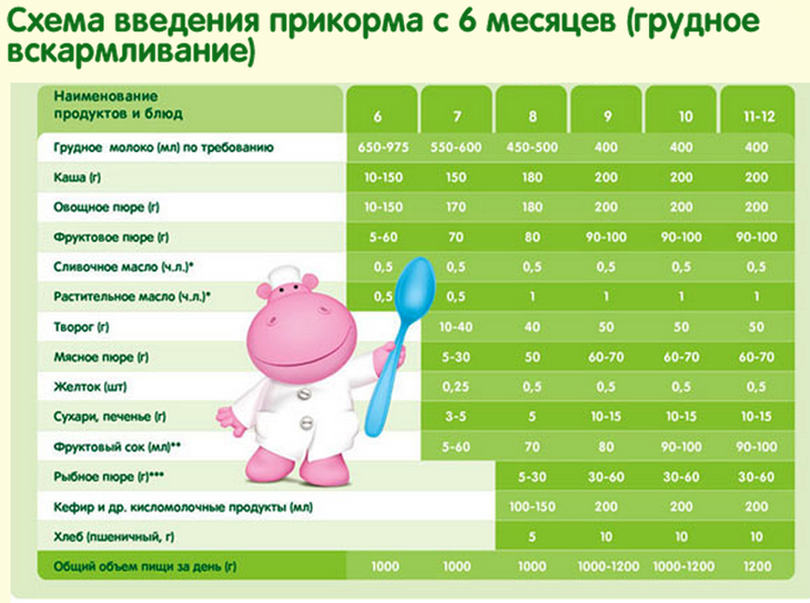 Прикорм ребенка с 6 месяцев - схема введения прикорма для малыша в 6 месяцев | prikorm.org