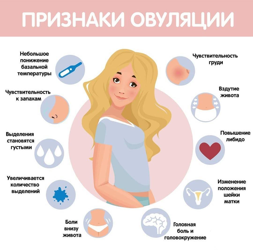 Первые недели беременности: что нужно знать и делать, что можно и нельзя, что происходит с малышом?