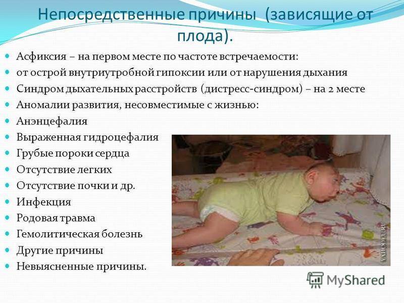 Церебральная ишемия у новорожденных | eurolab | педиатрия