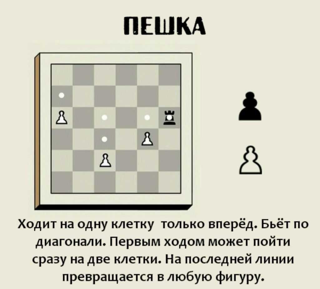 Как научить играть в шахматы ребенка