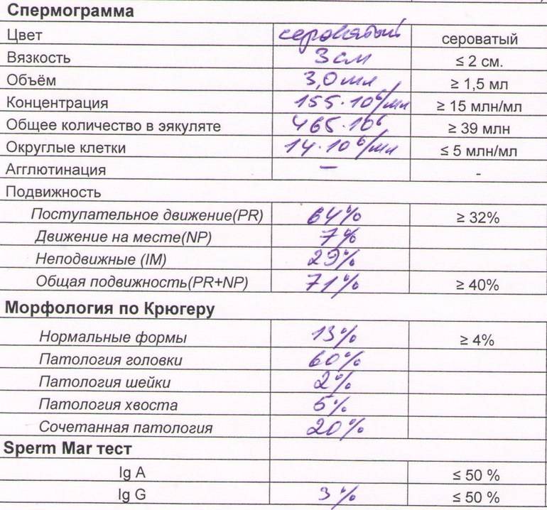 Как алкоголь влияет на спермограмму - как пиво влияет на сперму перед анализом
