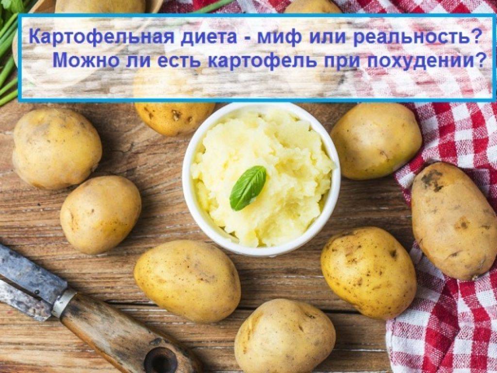 Можно ли картошку при грудном вскармливании: жареную, вареную, пюре