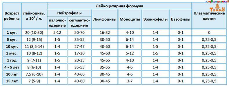 Повышены лейкоциты в крови: что это значит у ребенка