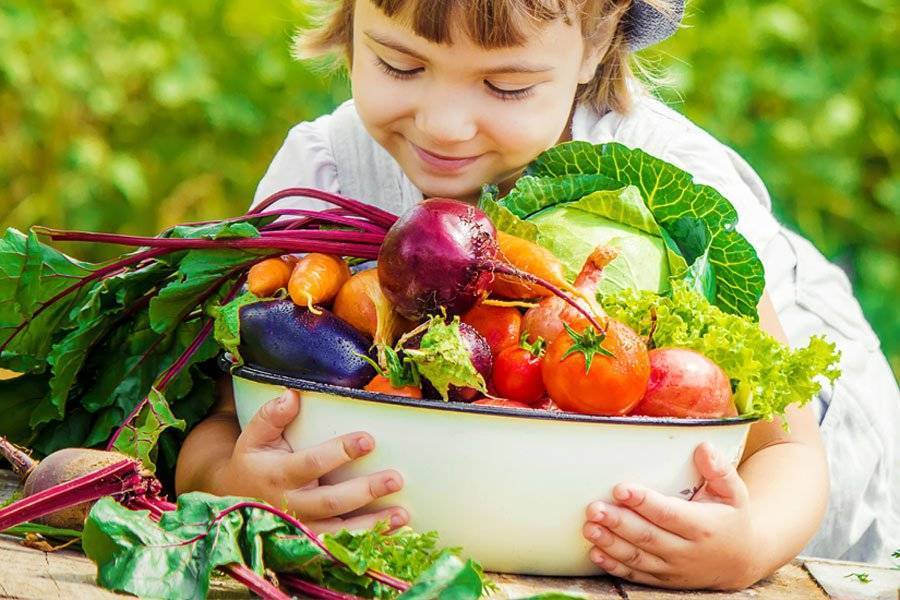 Ребенок не ест овощи | уроки для мам