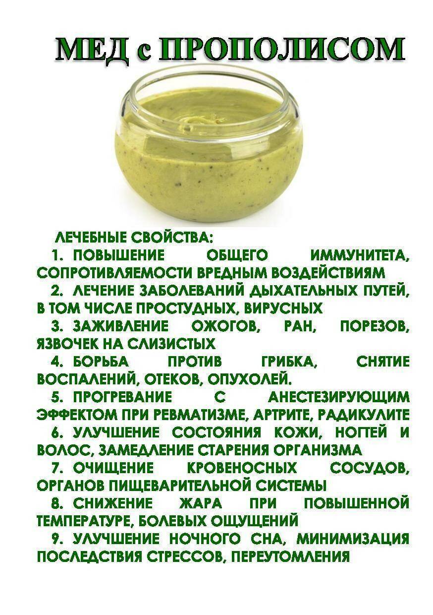 Можно ли грудничку давать мед, польза и противопоказания для новорожденного