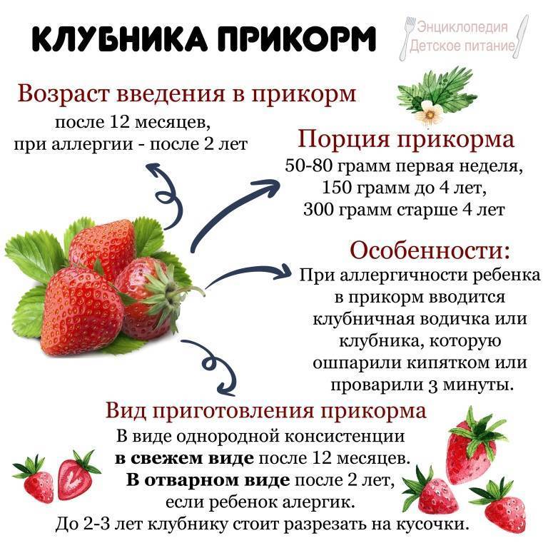 Что делать при появлении аллергии на клубнику - медицинский портал «health-ua.org»