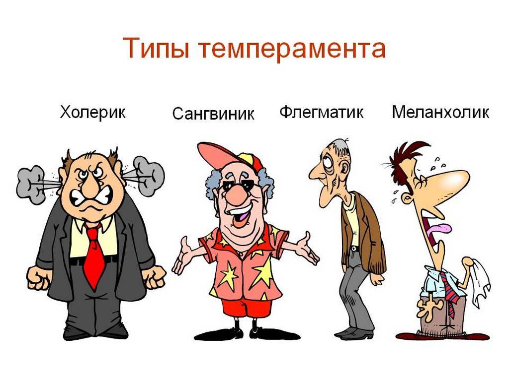 Как определить темперамент ребенка дошкольного возраста, тест и характеристики