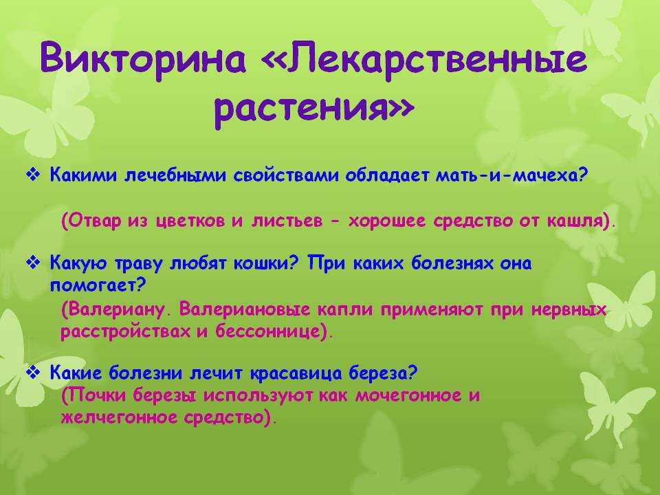 Презентация на тему: "лекарственные растения викторина. своя игра отгадай-ка отгадай-ка как мое имя? как мое имя? мой плод мой плод ". скачать бесплатно и без регистрации.