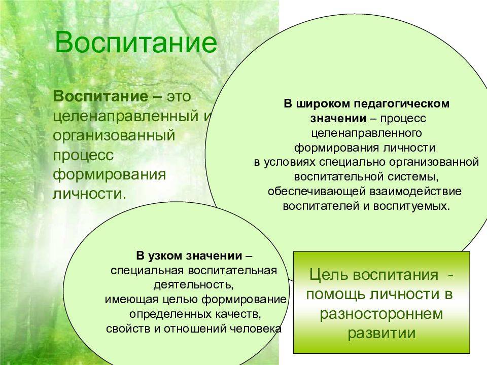 Что такое воспитание и какие виды существуют